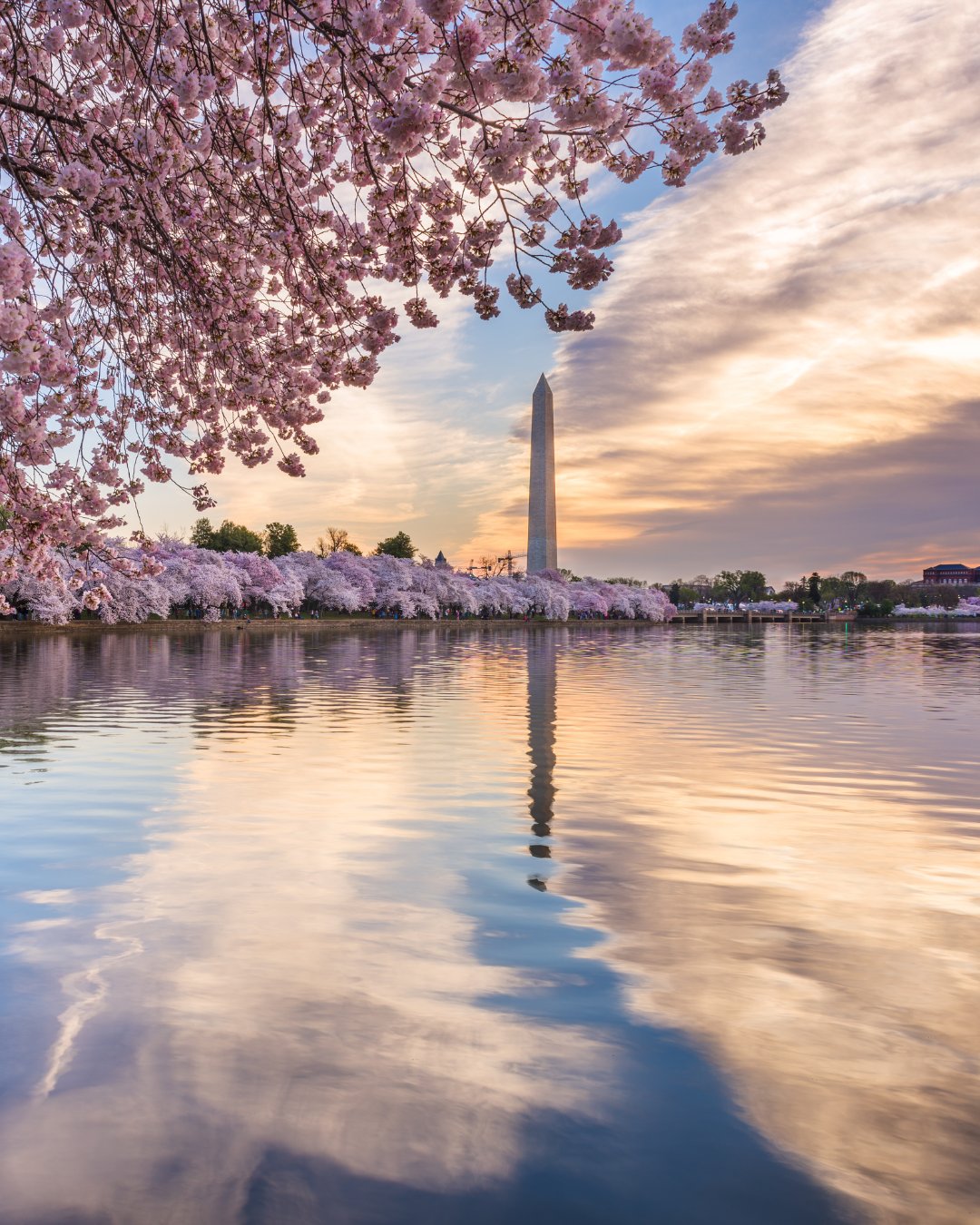 Washington D.C. Washington Monument